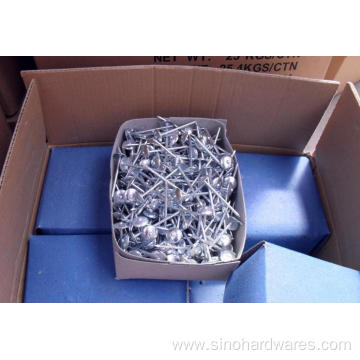 Galvanized Roofing Screws Washer Nails